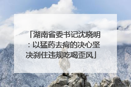湖南省委书记沈晓明：以猛药去疴的决心坚决刹住违规吃喝歪风